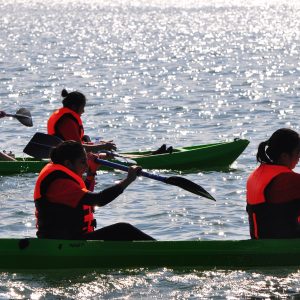 Full Day Eco Tour (Kayak) (6 hours)