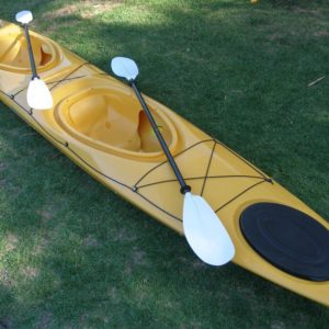 Double Traditional Kayak Rental – (1000-1700)
