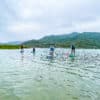 Kei Ling Ha BBQ SUP Glamping - Blue Sky Sports Club