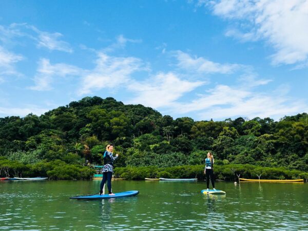 直立板探索旅程 (沙下全天：初級證書課程+生態旅遊） - Blue Sky Sports Club
