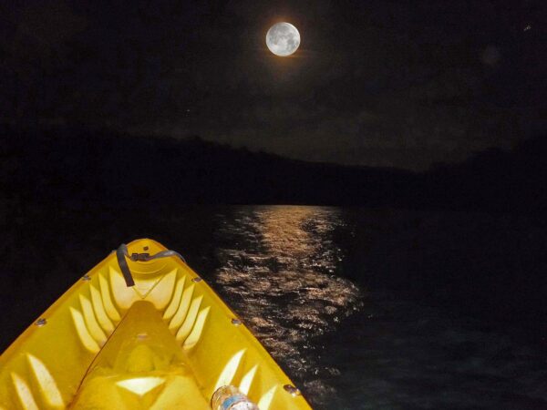 【Seasonal】Mid-Autumn Full Moon Party | Pak Sha Chau