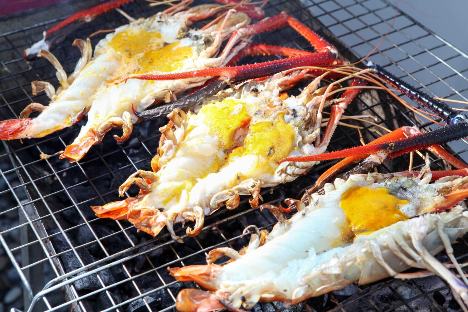 grilledprawnsandlobsteronthegril