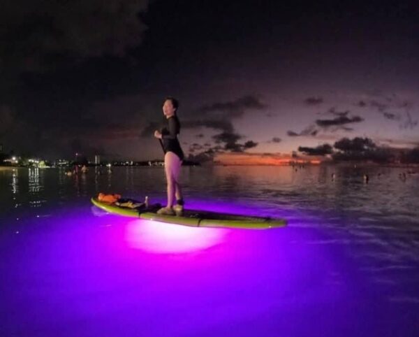 Fantasy Glow Paddle - A Night Voyage of Color - Image 3