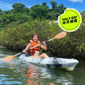 skayak half copy